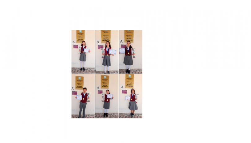 fbd5c83c4a6e173d1a012b65d53878eb.png