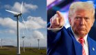 trump-yenilenebilir-enerji-1 (1)