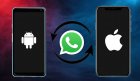 whatsapp-ios-android